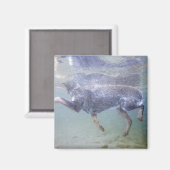 米国アイダホ州サンバレー。 マグネット (正面/裏面)