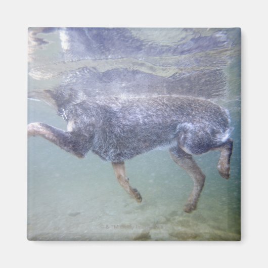 米国アイダホ州サンバレー。 マグネット (正面)