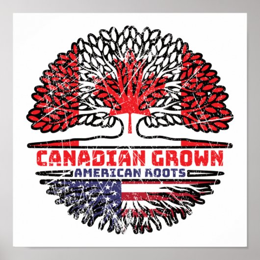 米国アメリカ合衆国の統一された州カナダの木 ポスター (正面)