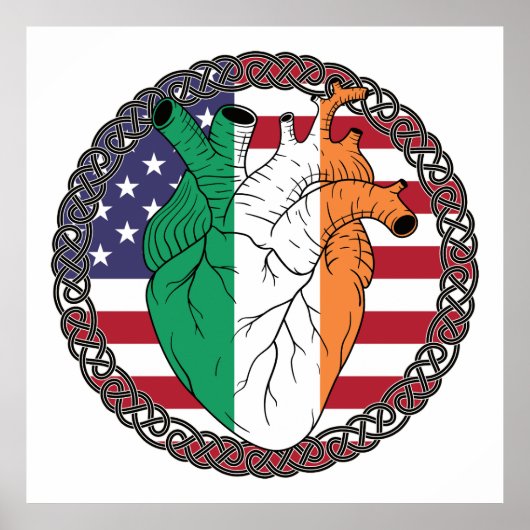 米国アメリカ合衆国統一された州アイルランド ポスター (正面)