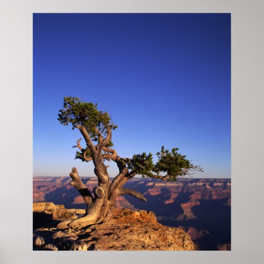 米国アリゾナ州グランドキャニオン ポスター (正面)