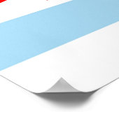 米国イリノイ州シカゴ州旗のポスター ポスター (角)