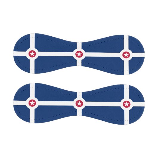 米国インディアナポリス州旗を持つ愛国野球 野球ボール (パネル)