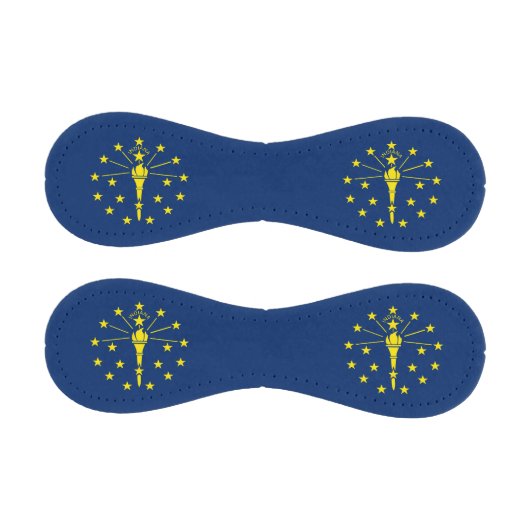 米国インディアナ州旗を持つ愛国野球 野球ボール (パネル)