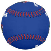 米国ウィスコンシン州旗を持つ愛国的ソフトボール ソフトボール (正面)