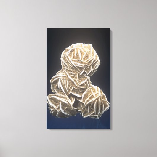 米国オクラホマ州オクラホマ州ノーマンの石膏を使用したバーライト結晶 キャンバスプリント (正面)