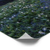 米国オリンピックNP妨害ポイントサンセット ポスター (角)