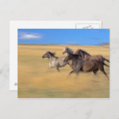 米国オレゴン州，セネカ ポストカード (正面/裏面)