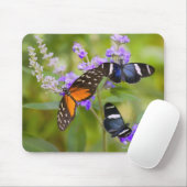 米国オレゴン マウスパッド (マウス)