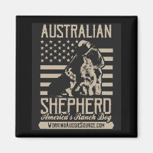 米国オーストラリア磁石