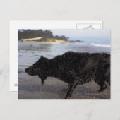 米国カリフォルニア州サンタバーバラ ポストカード (正面/裏面)