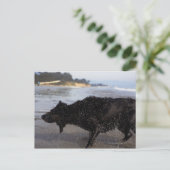 米国カリフォルニア州サンタバーバラ ポストカード (スタンド正面)