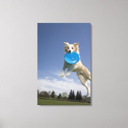 米国カリフォルニア州ストックトン キャンバスプリント (正面)