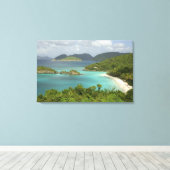 米国カリブのヴァージン諸島、セントジョン、トランク キャンバスプリント (インサイチュ (ウッドフロア))