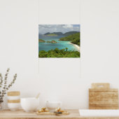 米国カリブのヴァージン諸島、セントジョン、トランク ポスター (キッチン)