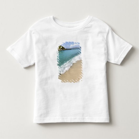 米国カリブのヴァージン諸島、セント·ジョン トドラーTシャツ (正面)