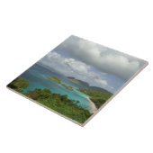 米国カリブのヴァージン諸島、セント·ジョン、トランク3 タイル (側面)