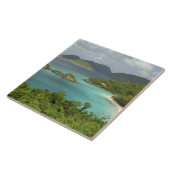 米国カリブのヴァージン諸島、セント·ジョン、トランク タイル (側面)