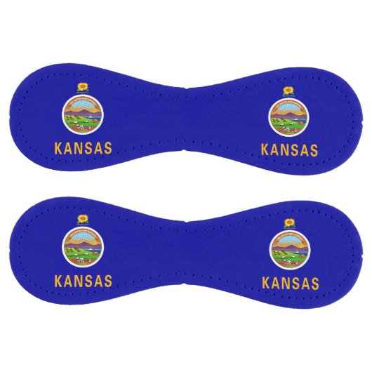 米国カンザス州旗を持つ愛国的ソフトボール ソフトボール (パネル)