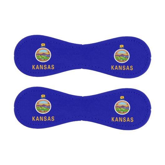 米国カンザス州旗を持つ愛国野球 野球ボール (パネル)