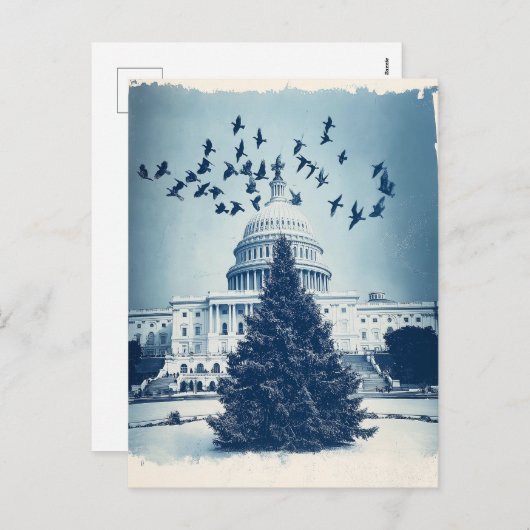 米国キャピトルヒルクリスマスツリーホリデーカード、レトロ シーズンポストカード (正面/裏面)