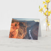 米国グランドキャニオン国立公園 カード (黄色い花)