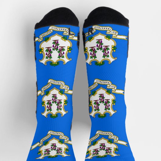 米国コネチカット州旗を持つアスレティッククルー靴下 ソックス (上部)