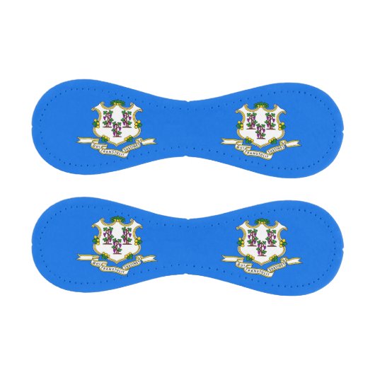 米国コネチカット州旗を持つ愛国野球 野球ボール (パネル)