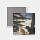 米国コロラド西部 マグネット (正面/裏面)