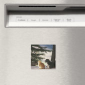 米国コロラド西部 マグネット (インサイチュ (食洗機))