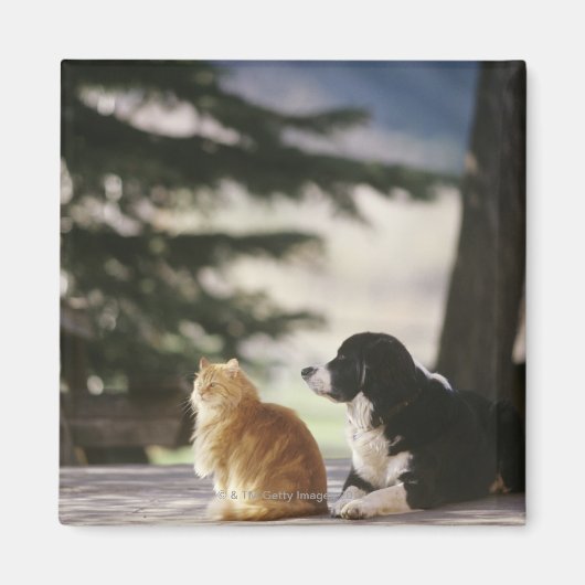 米国コロラド西部 マグネット (正面)