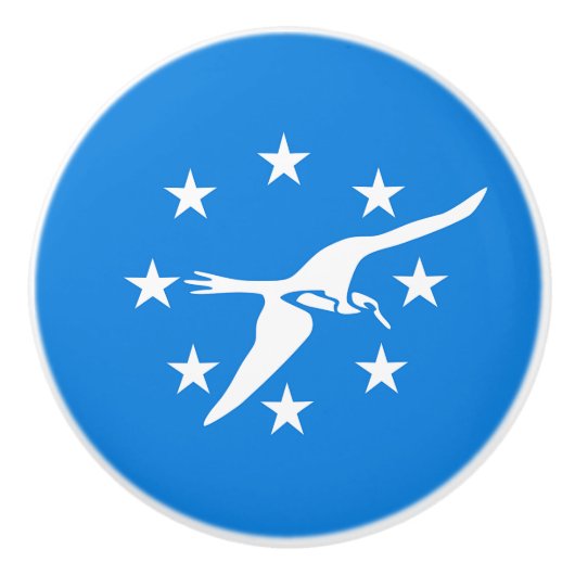 米国コーパスクリスティ州旗とセラミックノブの引っ張り セラミックノブ (正面)