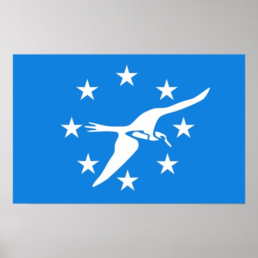 米国コーパス・クリスティ州旗のポスター ポスター (正面)