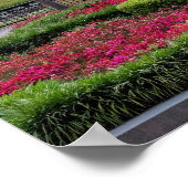 米国サウスカロライナ州チャールストン ポスター (角)