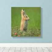 米国サウスダコタ州カスター州パーク キャンバスプリント (インサイチュ (ウッドフロア))