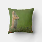 米国サウスダコタ州カスター州パーク クッション (裏面)