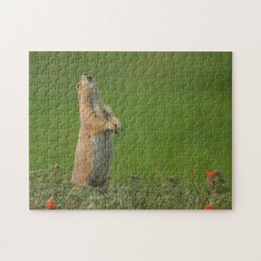 米国サウスダコタ州カスター州パーク ジグソーパズル (横)