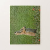 米国サウスダコタ州カスター州パーク ジグソーパズル (縦)