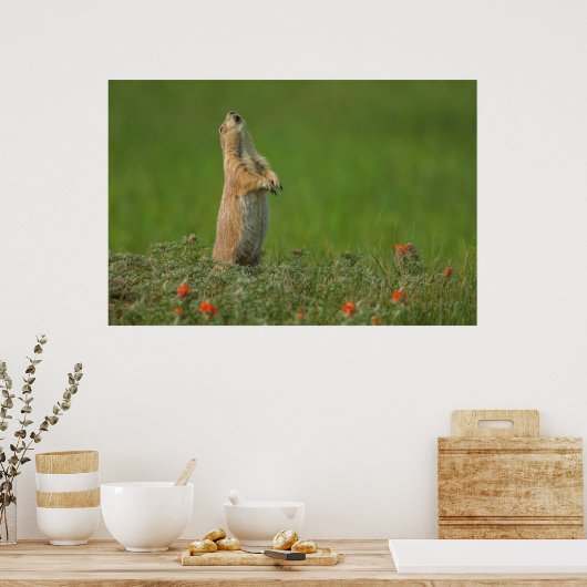 米国サウスダコタ州カスター州パーク ポスター (キッチン)