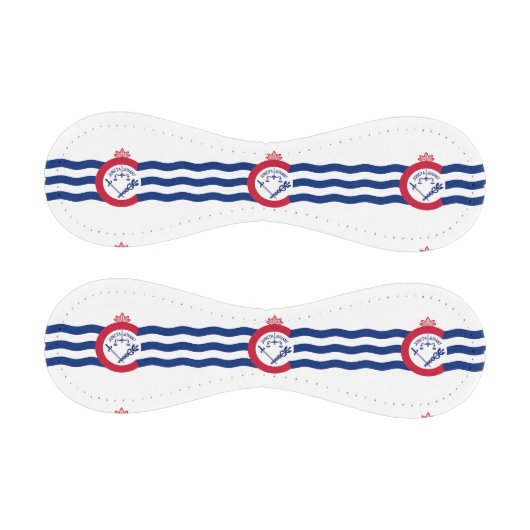 米国シンシナティ州旗を持つ愛国野球 野球ボール (パネル)