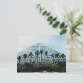 米国テキサス州南部の熱帯雨林 ポストカード (スタンド正面)