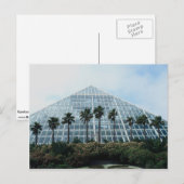 米国テキサス州南部の熱帯雨林 ポストカード (正面/裏面)