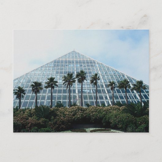 米国テキサス州南部の熱帯雨林 ポストカード (正面)