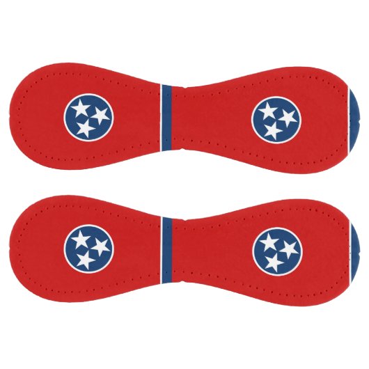 米国テネシー州旗を持つ愛国的ソフトボール ソフトボール (パネル)