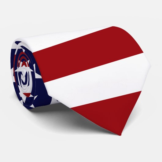 米国テーマネックタイ ネクタイ (ロール)