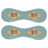 米国デラウェア州旗を持つ愛国的ソフトボール ソフトボール (パネル)