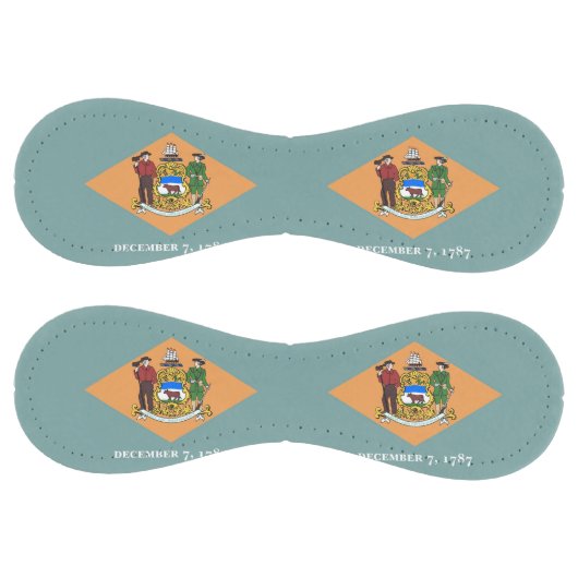 米国デラウェア州旗を持つ愛国的ソフトボール ソフトボール (パネル)