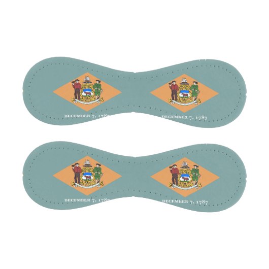 米国デラウェア州旗を持つ愛国野球 野球ボール (パネル)