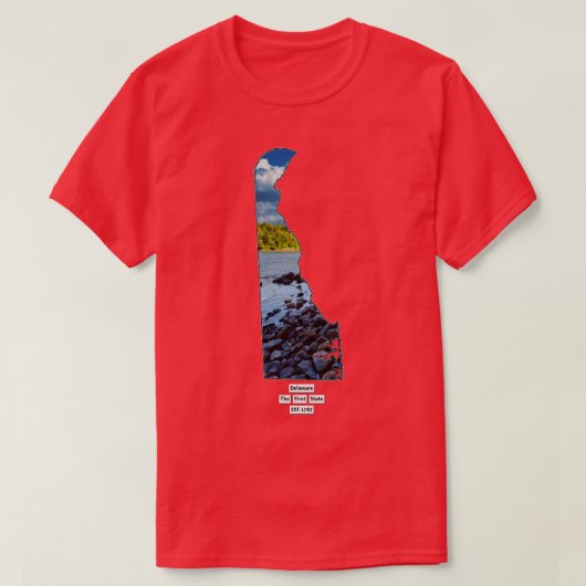 米国デラウェア Tシャツ (デザイン正面)