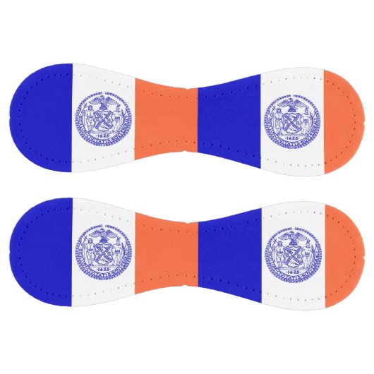 米国ニューヨーク市旗を持つ愛国的なソフトボール ソフトボール (パネル)